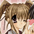 ����CHU�I(KOTOKOtoAKI)