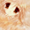 �������߂ĥ��(Kotton)�@���b�f�W�Ɏ��^